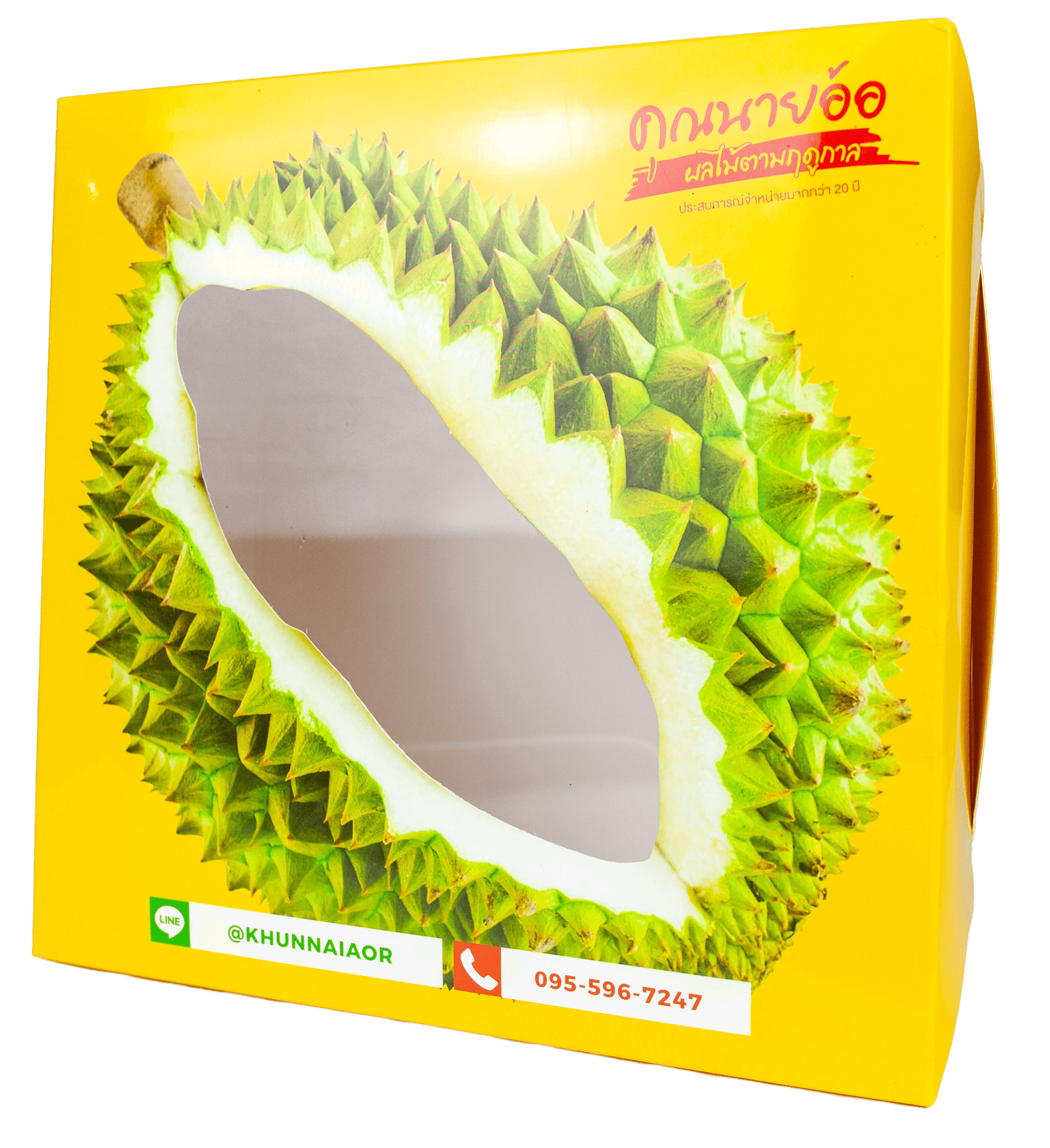 กล่องบรรจุภัณฑ์ ตัวอย่างงาน 3