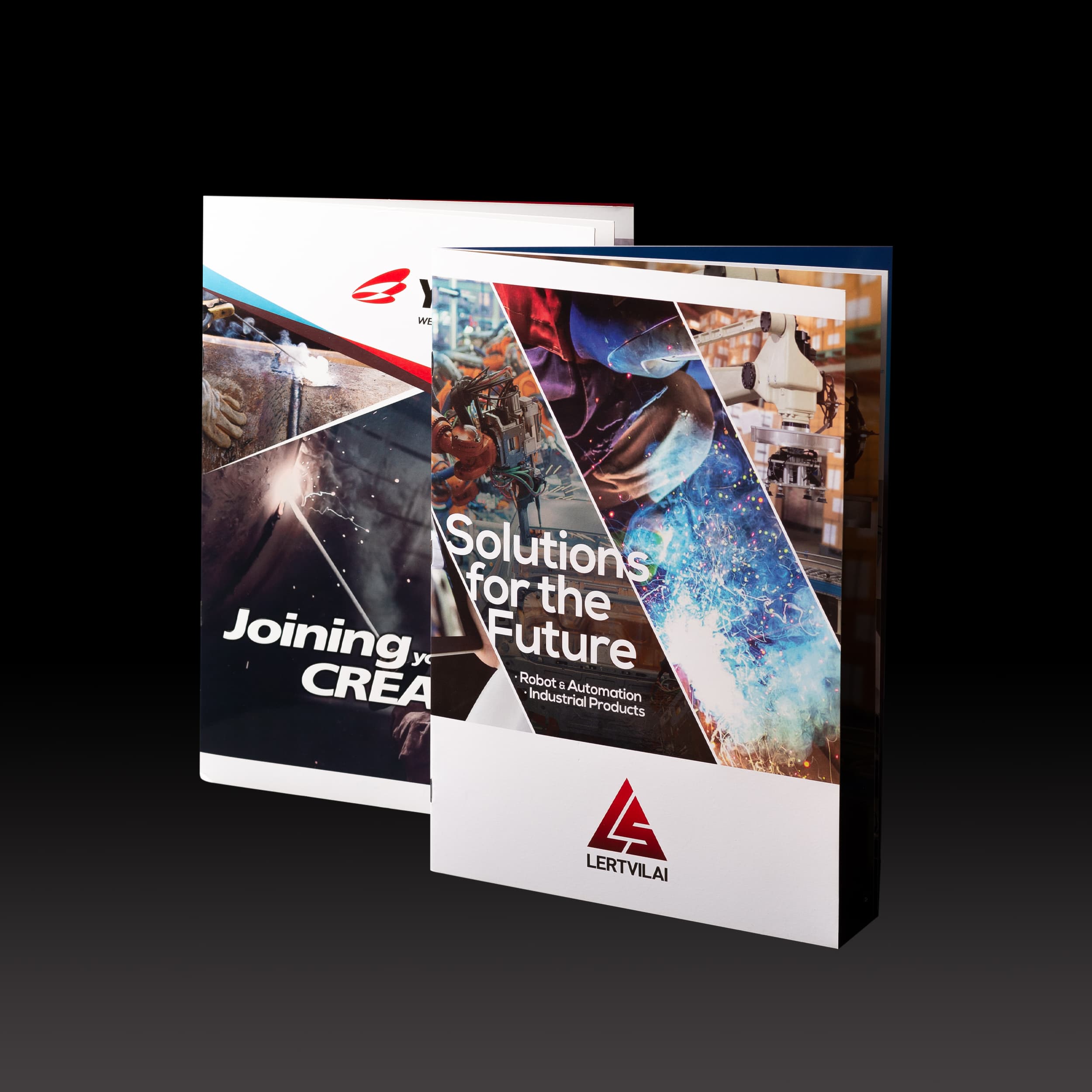 ผลงานอื่นๆ ตัวอย่างงาน 2